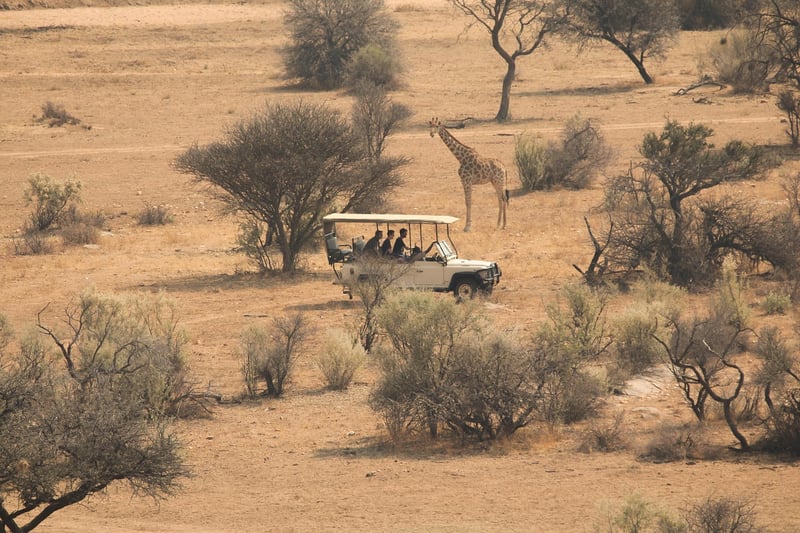 Era Sightseeing Tours